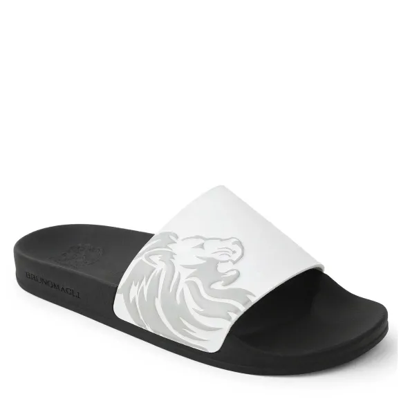 Messe Shower Slide