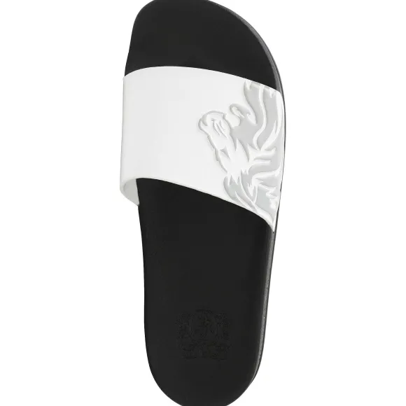 Messe Shower Slide