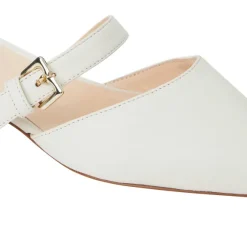 Pasha Mule