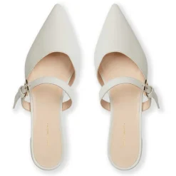 Pasha Mule