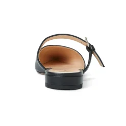 Pasha Mule