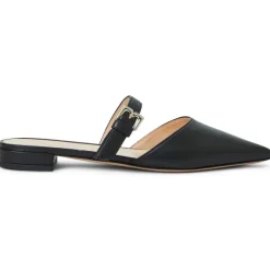 Pasha Mule