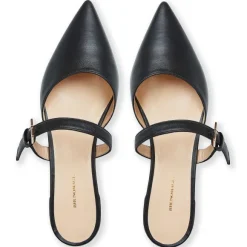 Pasha Mule
