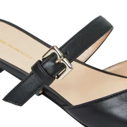 Pasha Mule