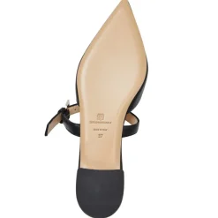 Pasha Mule