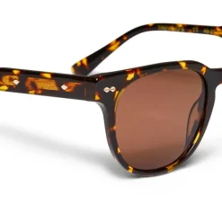Treviso Sunglasses Tortoise